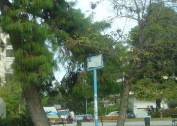 5χρονος δηλητηριάστηκε από φόλα στα Άνω Πατήσια