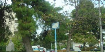 5χρονος δηλητηριάστηκε από φόλα στα Άνω Πατήσια