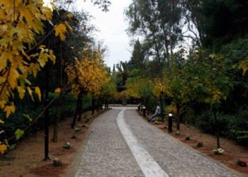 Συνάντηση στην Περιφέρεια Αττικής για το πάρκο του Πεδίου Άρεως 2