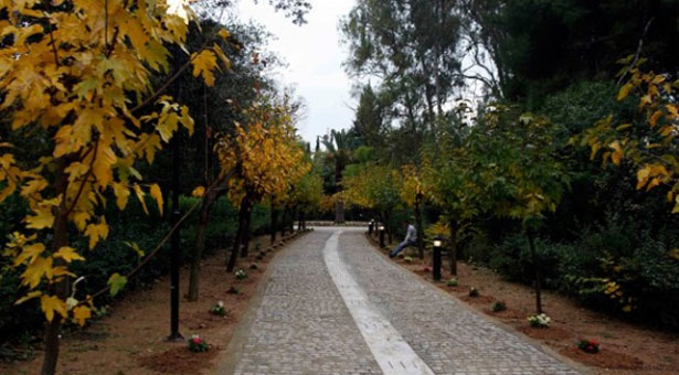 Συνάντηση στην Περιφέρεια Αττικής για το πάρκο του Πεδίου Άρεως 2