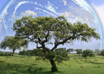 Παγκόσμια Ημέρα Περιβάλλοντος σήμερα 5 Ιουνίου