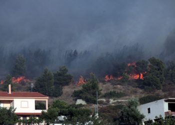 ΕΚΤΑΚΤΟ: Πυρκαγιά στη Φυλή Αττικής