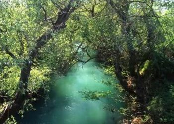 Μακάβριο εύρημα σε ποτάμι στην Πρέβεζα