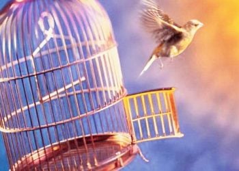 Δώστε οριστικό τέλος στις καταστροφικές σχέσεις