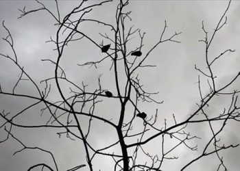Ασθενείς βροχές στον Πόντο σήμερα