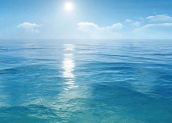 Η αινιγματική Θάλασσα των Σαργασσών