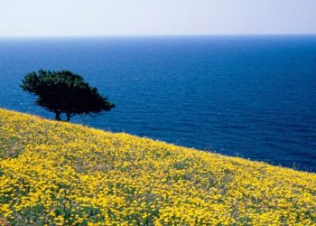 Ο καιρός βάζει τα καλοκαιρινά του το Σαββατοκύριακο!