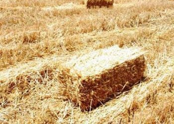 Έρθεν και ο Χορτοθέρτ'ς! Όλα όσα έκαναν τον μήνα Ιούλιο στον Πόντο