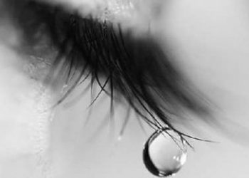 Θλίψη και αντιδράσεις για την τραγωδία με τους φοιτητές