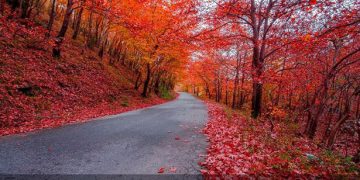 Αυτή είναι η φωτογραφία από τα Τρίκαλα που «μάγεψε» την Microsoft!