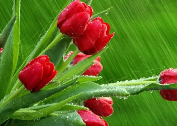 Συννεφιά και ψιλόβροχο σε Ελλάδα και Πόντο