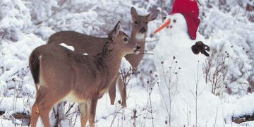 Πού και πότε θα πέσουν τα πρώτα χιόνια