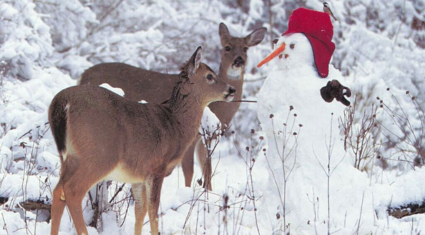 Πού και πότε θα πέσουν τα πρώτα χιόνια