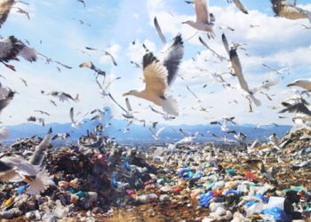 Μια τοξική βόμβα δίπλα σε σπίτια και περιβόλια