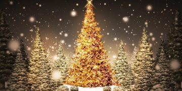 Χριστουγεννιάτικες εικόνες - Media Gallery 5