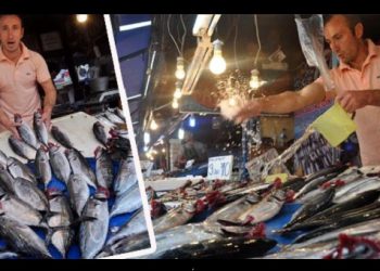 Άνοιξε η σεζόν για τους ψαράδες στον Πόντο