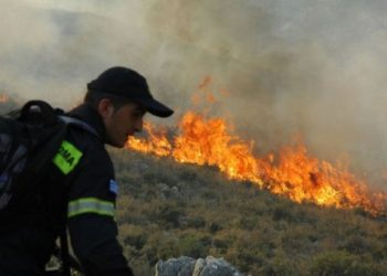 Πυρκαγιές σε Ηράκλειο Κρήτης, Ζάκυνθο, Φάρσαλα