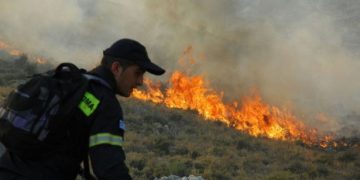 Πυρκαγιές σε Ηράκλειο Κρήτης, Ζάκυνθο, Φάρσαλα