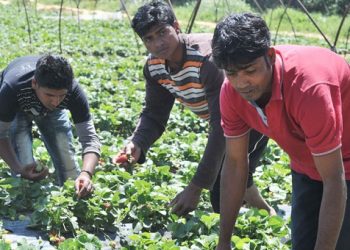 Ανθεί η αδήλωτη εργασία σε όλη τη χώρα