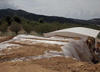 Ученые назвали древнейшую в мире цивилизацию