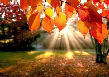 Με αίθριο καιρό ξεκινάει η εβδομάδα