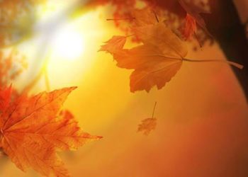 Με αίθριο καιρό μπήκε ο Οκτώβριος