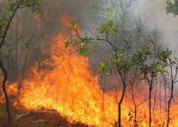 Σε ύφεση η φωτιά στην Κίσσαμο Χανίων