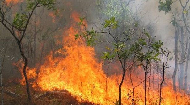 Σε ύφεση η φωτιά στην Κίσσαμο Χανίων