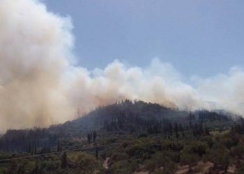 Εξαιρετικά υψηλός κίνδυνος πυρκαγιάς για αύριο Σάββατο