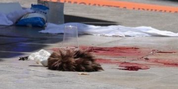 Επί ποδός η Αντιτρομοκρατική για τον Μαζιώτη – το  χρονικό  της σύλληψης
