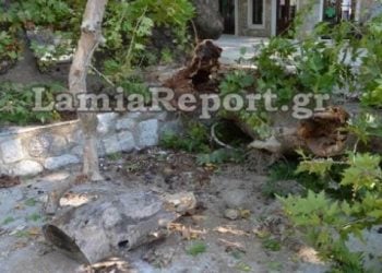 Νεκρός 9χρονος που καταπλακώθηκε από πλάτανο στη Λαμία
