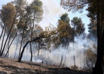 Σε εξέλιξη πυρκαγιά στη Φθιώτιδα στην περιοχή Πελασγία Στυλίδας