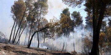 Σε εξέλιξη πυρκαγιά στη Φθιώτιδα στην περιοχή Πελασγία Στυλίδας