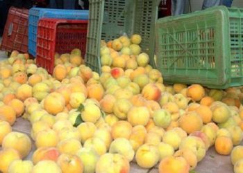 Россия не отменит эмбарго в отношении Греции