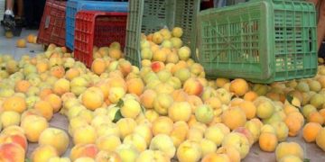 Россия не отменит эмбарго в отношении Греции