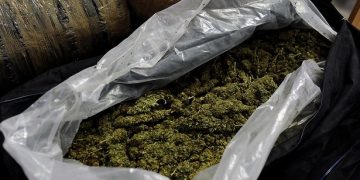 «Βαρόνος» ναρκωτικών ο Κρητικός που πιάστηκε με 200 κιλά χασίς