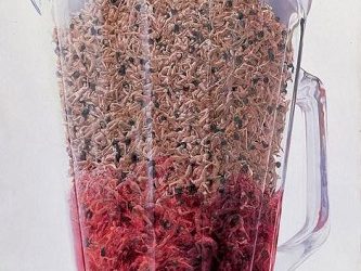 Γυμνές γυναίκες αλέθονται σε μπλέντερ! Η φρίκη στο βιβλίο της Ε΄ Δημοτικού