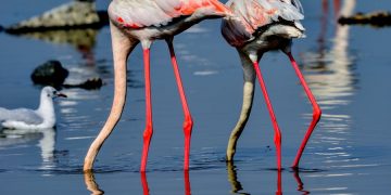 Τοπικές βροχές την Κυριακή, ισχυροί βοριάδες στο Αιγαίο