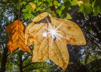 Κυριακή με αίθριο καιρό και ψύχρα – Αναλυτικά η πρόγνωση