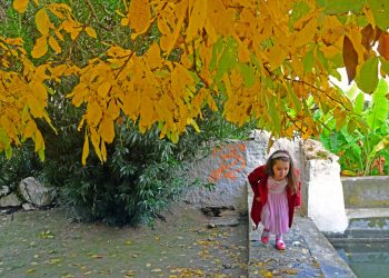 Γλυκός ο καιρός σήμερα Δευτέρα