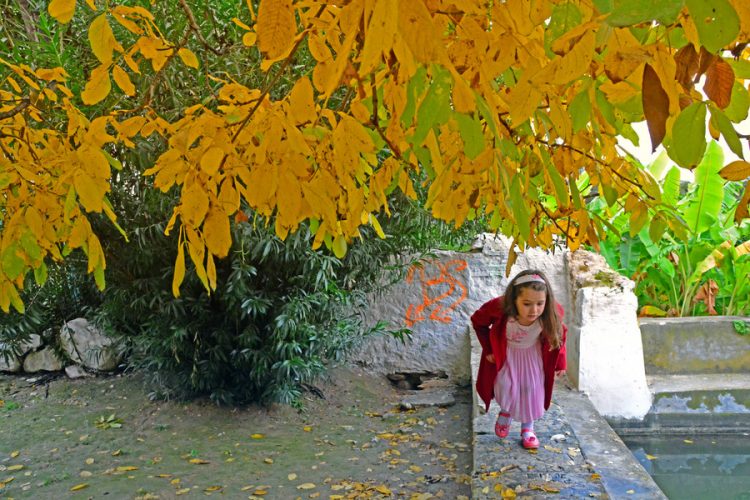 Γλυκός ο καιρός σήμερα Δευτέρα