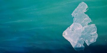 plasticbagocean