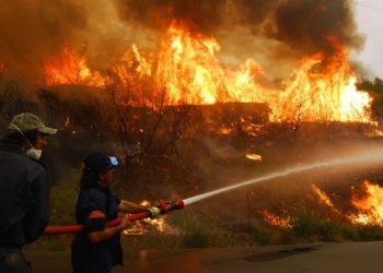 Δέκα χρόνια εξαγοράσιμα η τελική ποινή για τις φωτιές της Ηλείας