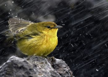 Καιρός: Βροχές σε αρκετές περιοχές τη Μεγάλη Παρασκευή