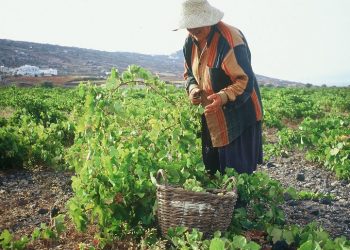 Προσλήψεις 200 ατόμων στον ΕΛΓΑ