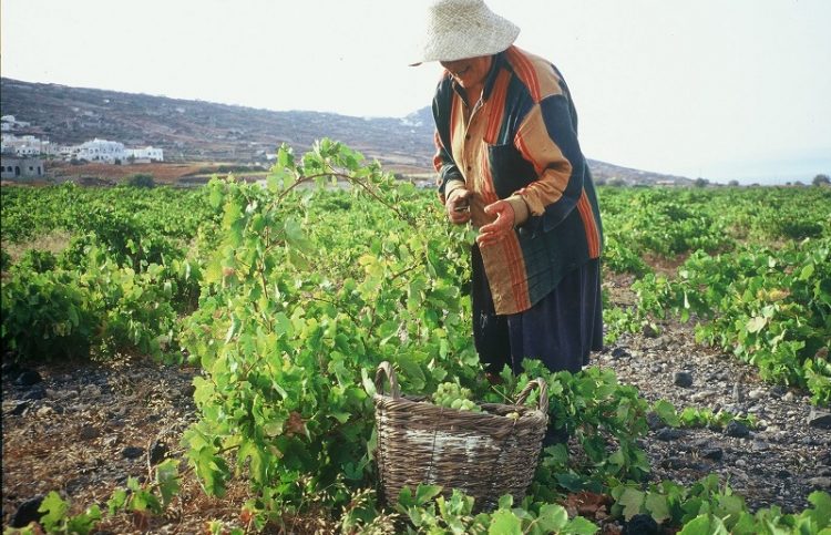 Προσλήψεις 200 ατόμων στον ΕΛΓΑ