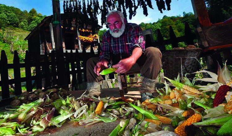 Ο Πόντος όχι μόνο ζει, αλλά «ανθεί και φέρει κι άλλο»!