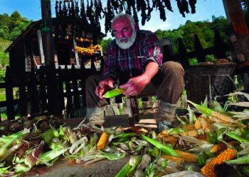 Понт не только продолжает жить, он «расцветает и созидает»