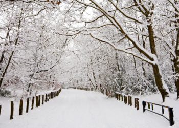 Μέχρι τη Δευτέρα θα διαρκέσει η κακοκαιρία – Πού θα πέσει το περισσότερο χιόνι