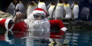 Χριστούγεννα 2014 στον κόσμο των ζώων